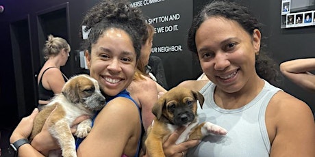 Puppy Fitness Class with Hype Haus Fitness & Take Paws Rescue primary image