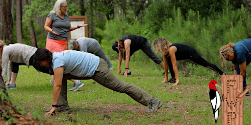 Immagine principale di Forest Wellness- Yoga in the Park 