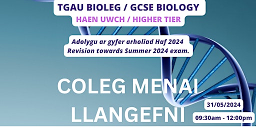 Adolygu TGAU Bioleg  UWCH - Biology HIGHER GCSE Revision  primärbild