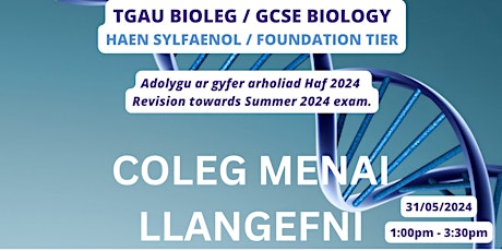 Adolygu TGAU Bioleg  SYLFAENOL - Biology FOUNDATION GCSE Revision
