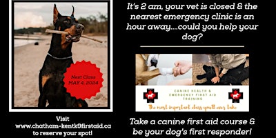 Canine Health & Emergency First Aid primary image