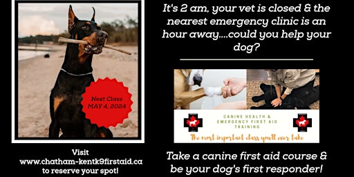 Hauptbild für Canine Health & Emergency First Aid