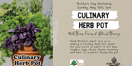 Imagem principal de Culinary Herb Pot Workshop
