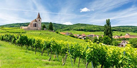 Spring Tasting of Delightful French Wines