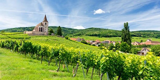 Spring Tasting of Delightful French Wines primary image
