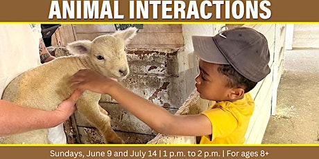 Animal Interactions