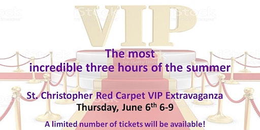 2024 Red Carpet VIP Event  primärbild