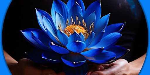 Blue Lotus Meditation  primärbild