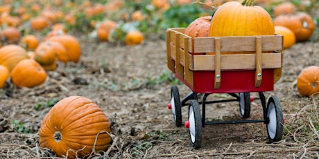 Liberty International Ministries Fall Festival at Greater Grace Farm primary image