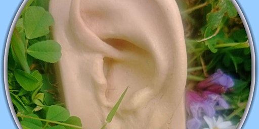 Primaire afbeelding van Basics of Needleless Ear Acupuncture