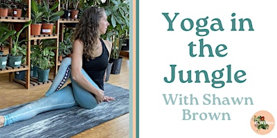 Yoga Flow in the Jungle primary image