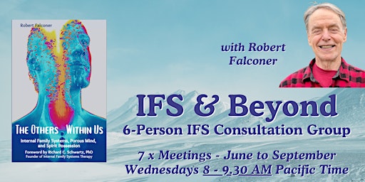IFS Consultation Group B - Weds 8 AM Pacific Time - Starts June 19 primary image
