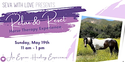 Relax & Reset: A Horse Therapy Experience for Teens & Their Parents primary image