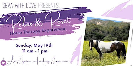 Relax & Reset: A Horse Therapy Experience for Teens & Their Parents