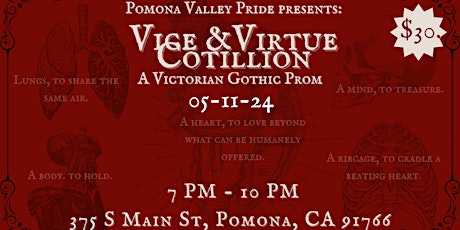 Vice & Virtue Cotillion A Victorian Gothic Prom