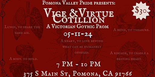Primaire afbeelding van Vice & Virtue Cotillion A Victorian Gothic Prom
