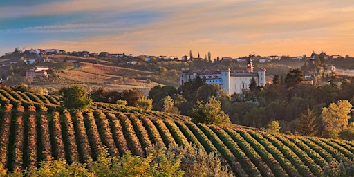 Wine 101 - Piedmont, Italy  primärbild