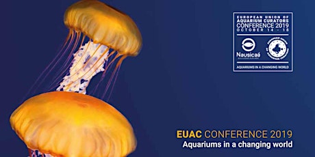 Image principale de Conférence "Comment les aquariums apportent leur contribution à l'Océan"