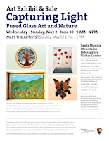 Capturing Light - Fused glass, art and nature primary image