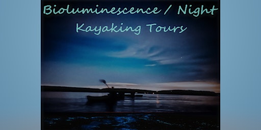Imagen principal de Bioluminescence / Night Kayak Tour