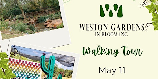 Walking tour of Weston Gardens in Bloom