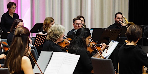 Hauptbild für Hume Orchestra Concert