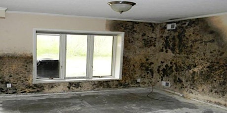 Mold School: Unlock Your Mold IQ and Dominate Home Inspection! Sign up now.