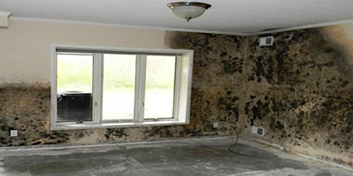 Mold School: Unlock Your Mold IQ and Dominate Home Inspection! Sign up now. primary image