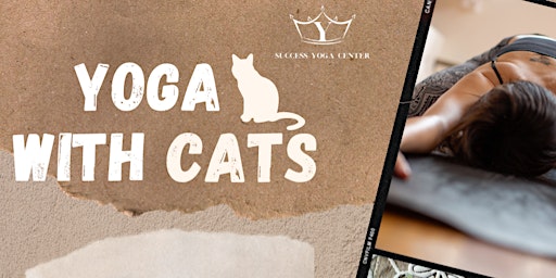 Imagem principal do evento Gentle Yoga with Adorable Cats and Sound Bath