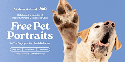 Imagem principal de Modern Animal Pet Portraits at The LAB