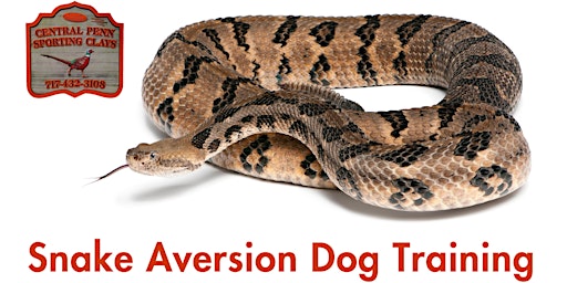 Dog Training - Snake Aversion (click Tickets button to see available times)  primärbild