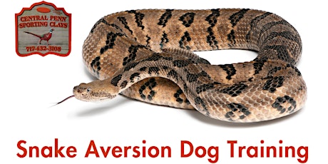 Dog Training - Snake Aversion (click Tickets button to see available times)