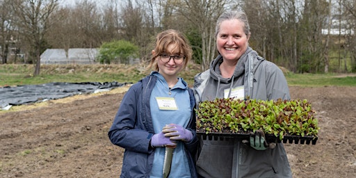 Volunteer at 21 Acres: Farm Stewardship  primärbild