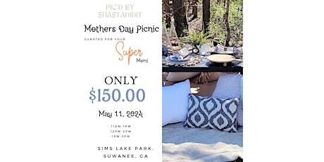 Mothers Day Luxury Pop up Picnic