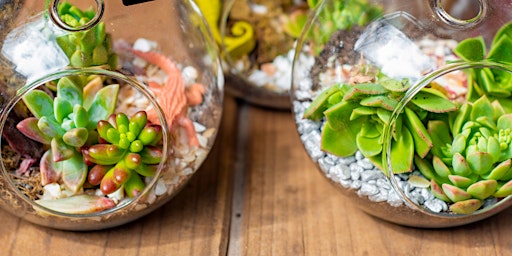 Friend Leaves: Mother's Day Terrarium Delight primary image