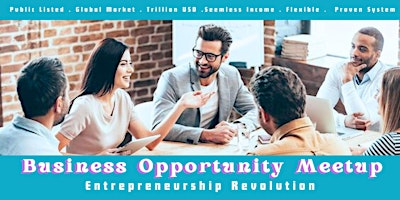 Business Opportunity Meetup primary image