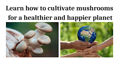 Learn how to cultivate mushrooms for a healthier and happier planet.