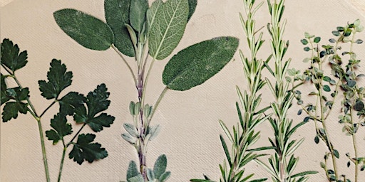 Hauptbild für Yourspace Community Project: Botanical Clay Printing Ideas