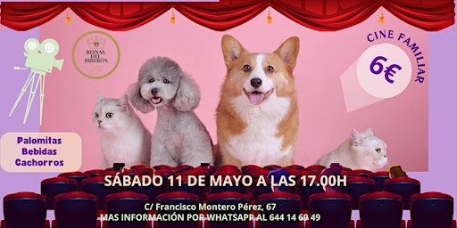 Immagine principale di CINE FAMILIAR  con Cachorros 