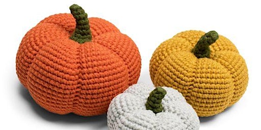 Primaire afbeelding van Jumbo Crochet Pumpkins Workshop