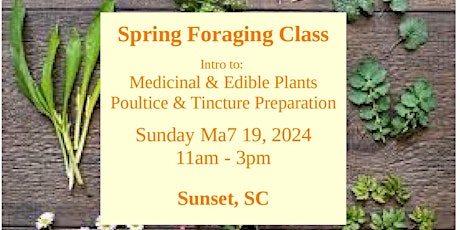 Spring Foraging Class
