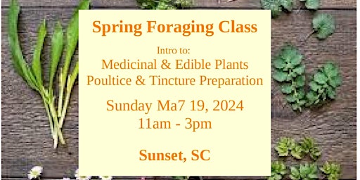 Spring Foraging Class primary image