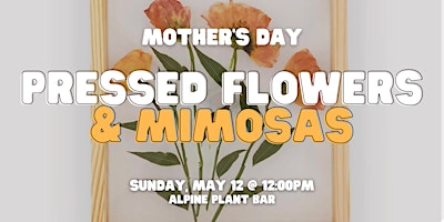 Imagem principal do evento Pressed Flowers & Mimosas
