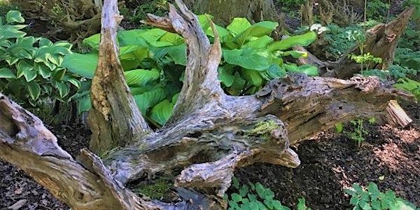 Create naturalized beds using coarse woody debris