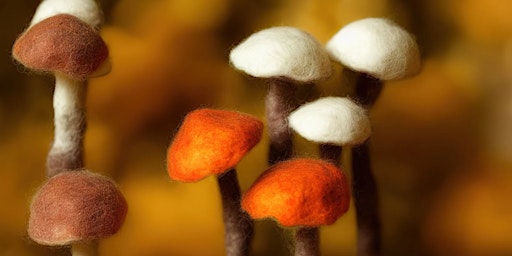 Image principale de Needle felted 3D mushrooms workshop