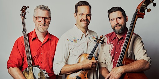The Lonesome Ace Stringband primary image