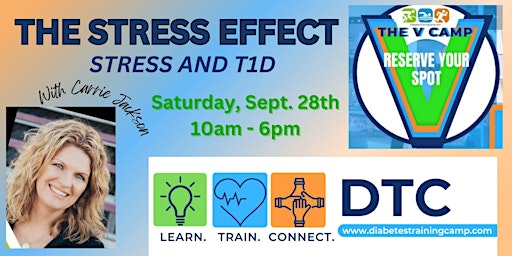 Primaire afbeelding van DTC V CAMP - THE STRESS EFFECT