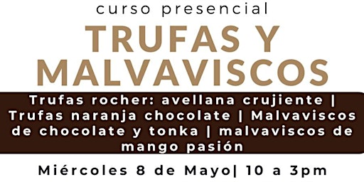 Primaire afbeelding van Trufas y Malvaviscos con la Chef Naty Toledo en Anna Ruíz Store