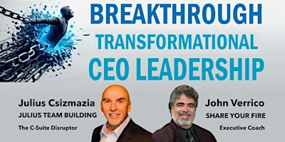 Image principale de BREAKTHROUGH  Transformational CEO Leadership