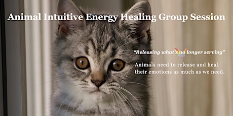 Animal Intuitive Energy Healing Group Session